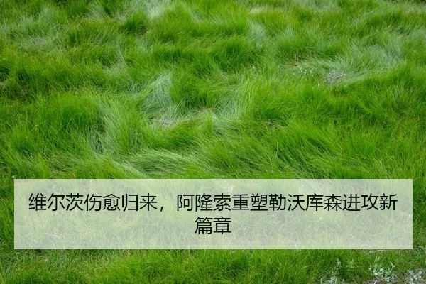 wei-er-ci-shang-yu-gui-lai-a-long-suo-zhong-su-lei-wo-ku-sen-jin-gong-xin-pian-zhang-3-165.jpg